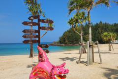 sutravel-250310-02007